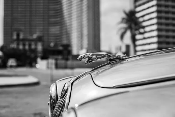 كازينو إكسترا تطبيق أندرويد/آي أو إس